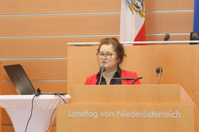 Mag. Martina Kuttig referierte bei der Fachtagung 2025 der NÖ ARGE für Pflege und Betreuung zum Titel „Mehr als ein Dach über dem Kopf – Wohnlichkeit fördert Gesundheit“.